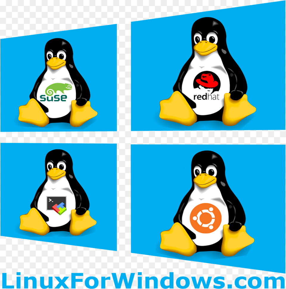 Linux, Animal, Bird, Penguin, Book Png Image