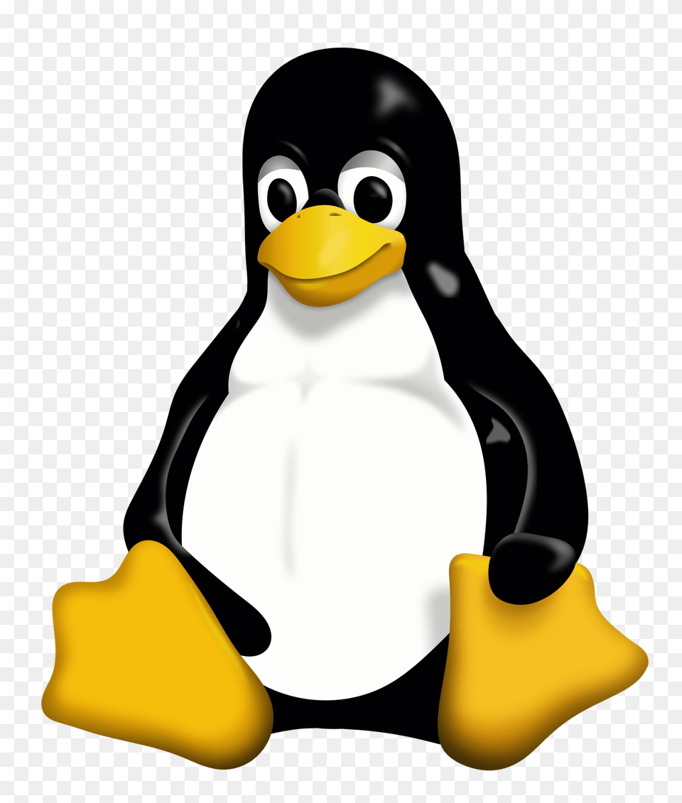 Linux, Animal, Beak, Bird, Nature Free Png