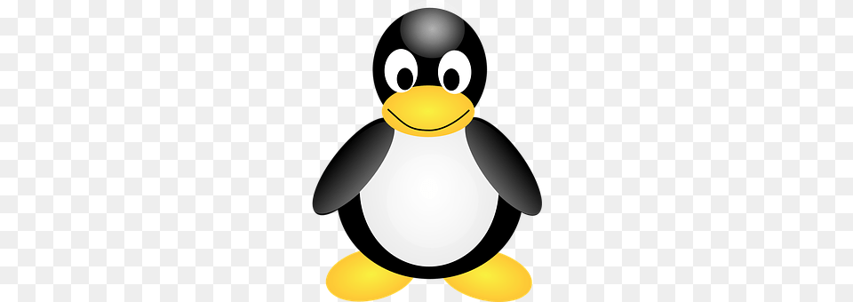 Linux Animal, Bird, Penguin, King Penguin Png Image