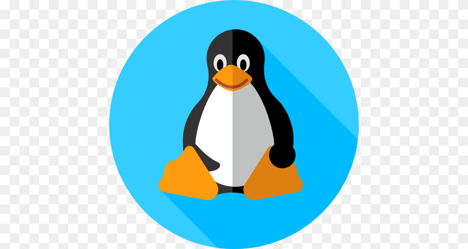 Linux, Animal, Bird, Penguin Free Transparent Png