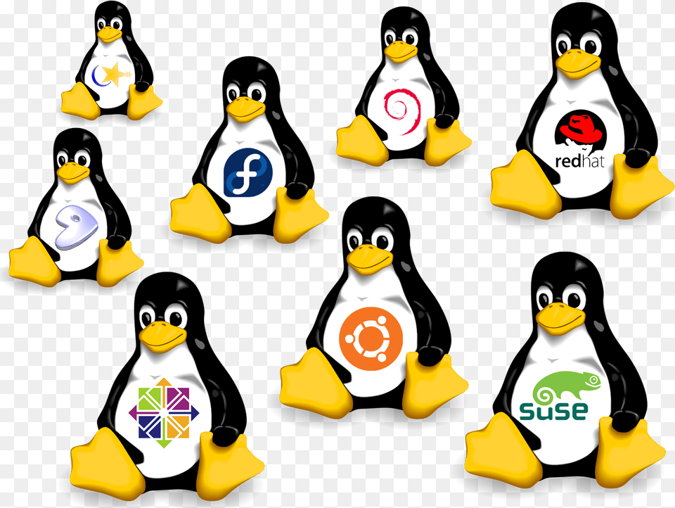 Linux Archives Linux Distributions, Animal, Bird, Penguin, Outdoors Free Transparent Png