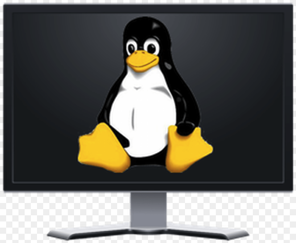 Linux Desktop Linux Admin, Animal, Bird, Computer Hardware, Electronics Free Png