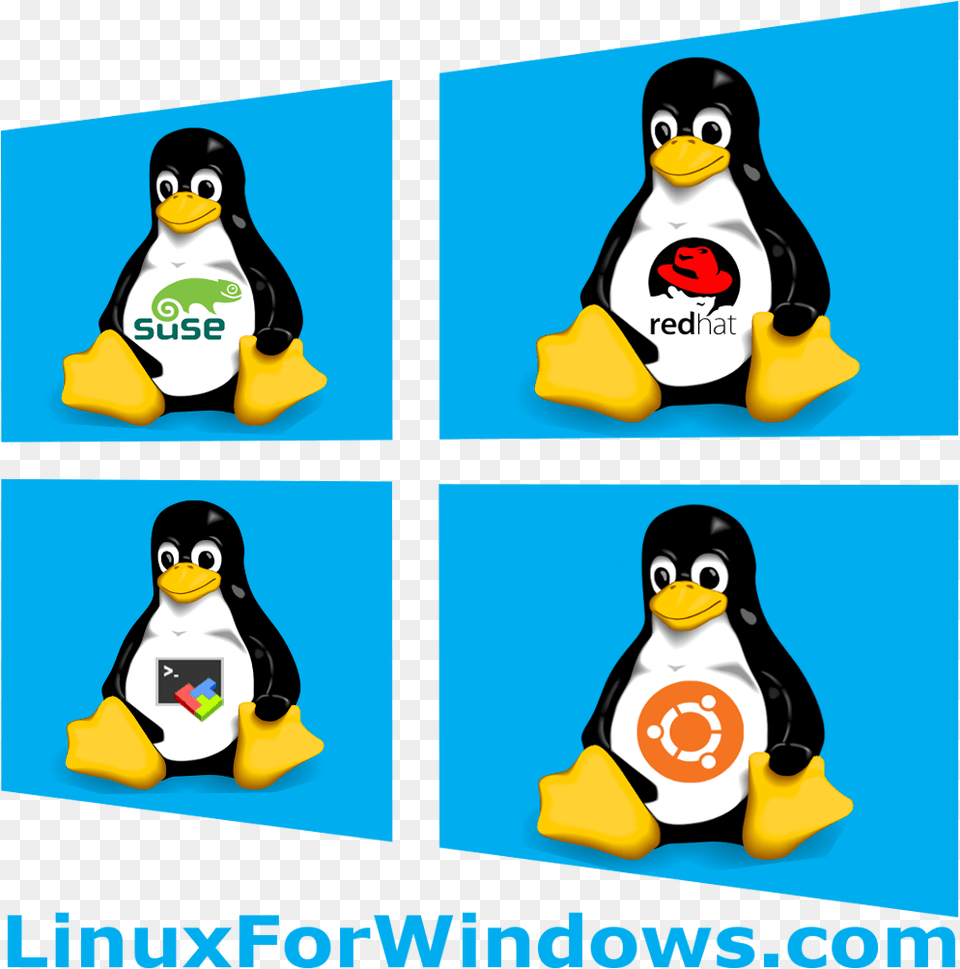 Linux For Windows Linux, Animal, Bird, Penguin, Book Png Image