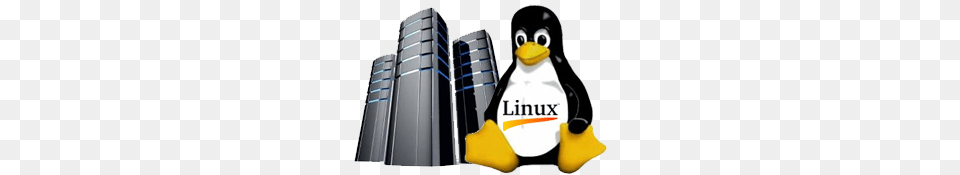 Linux Hosting, Electronics, Hardware, Animal, Bird Free Transparent Png