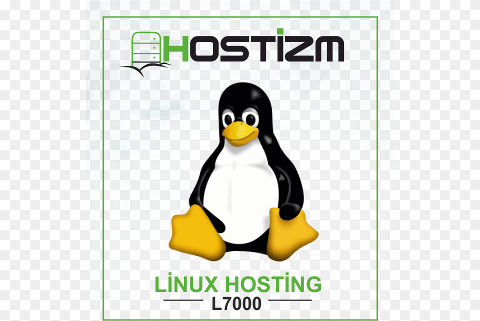 Linux Hosting Adlie Penguin, Animal, Bird Free Png