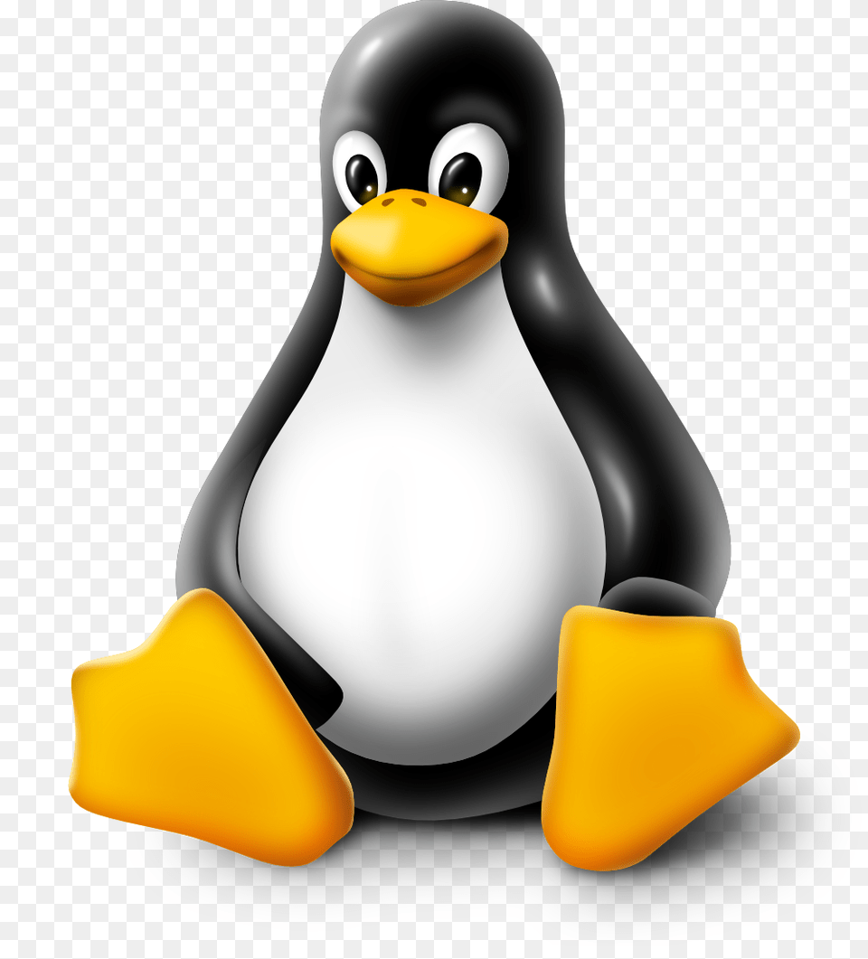 Linux Hosting Clipart Look, Animal, Bird, Penguin Free Png Download
