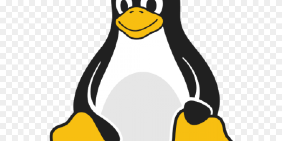 Linux Hosting Clipart Penguin Linux Functions And Features Of The Command Line, Animal, Bird, King Penguin Free Png Download