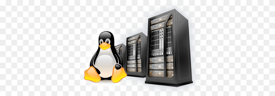 Linux Hosting Download Linux Shared Hosting, Animal, Bird, Penguin, Computer Hardware Png Image