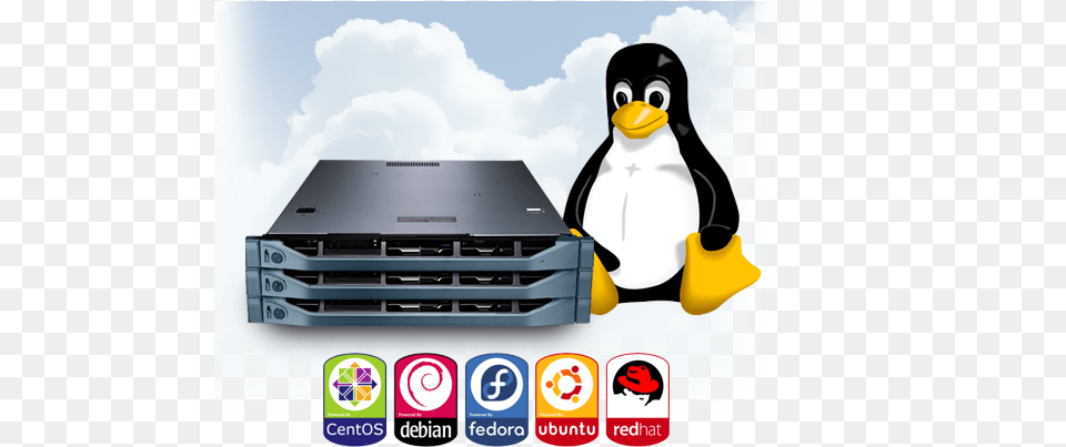 Linux Hosting Windows Mac Os Linux Android, Animal, Bird, Electronics, Hardware Free Png Download