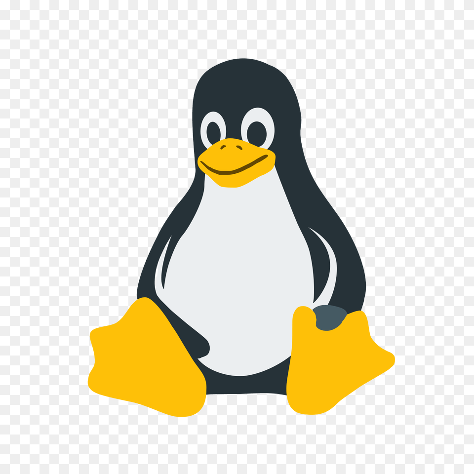 Linux Icon, Animal, Bird, Penguin Free Png