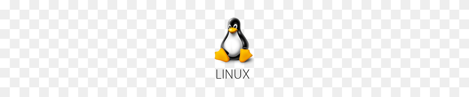 Linux Icons, Animal, Bird, Penguin Png Image