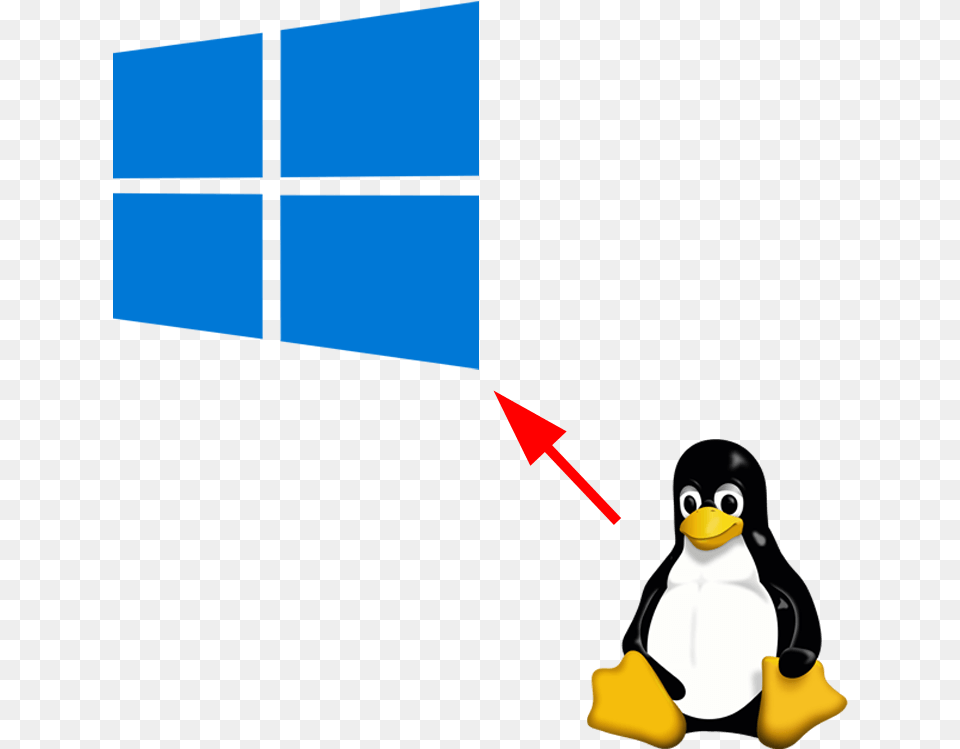 Linux Kernel To Be Included In Windows 10 Update 19h2 Linux Penguin, Animal, Bird Free Png Download