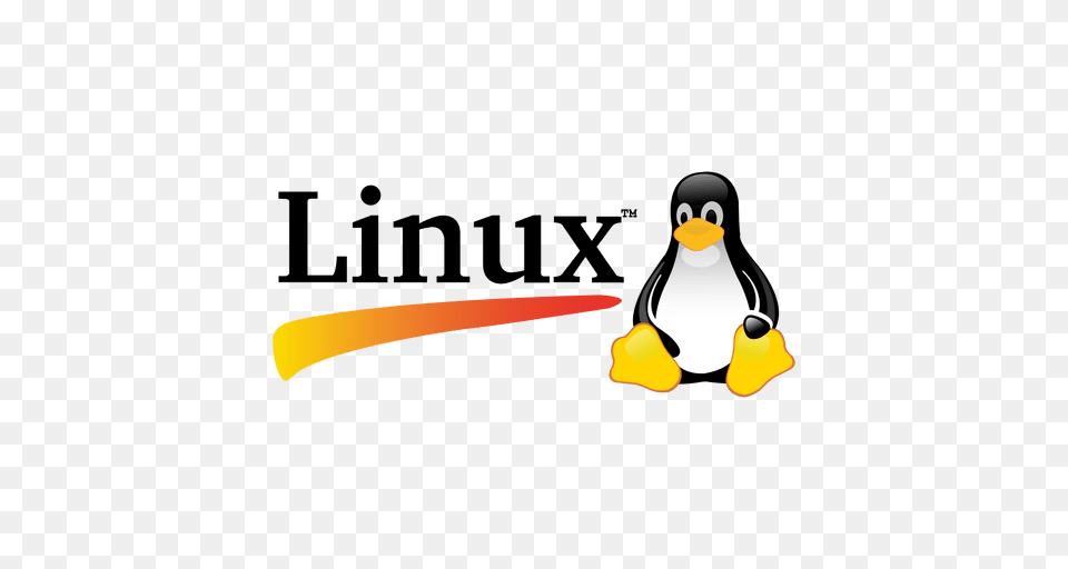 Linux Logo, Animal, Bird, Penguin, Beak Free Png Download