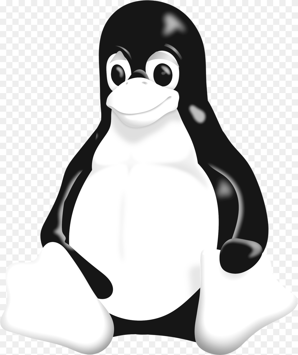 Linux Logo Black And White Linux Logo, Animal, Bird, Penguin, Nature Free Png
