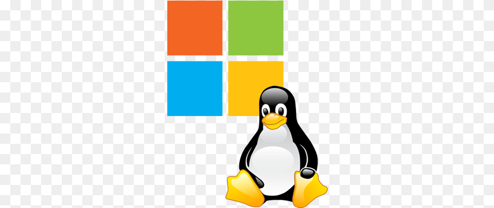 Linux Logo Linux And Windows Logo, Animal, Bird, Penguin Png