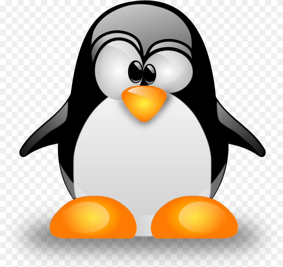 Linux Logo Linux Logo Transparent, Animal, Bird, Penguin, Nature Free Png