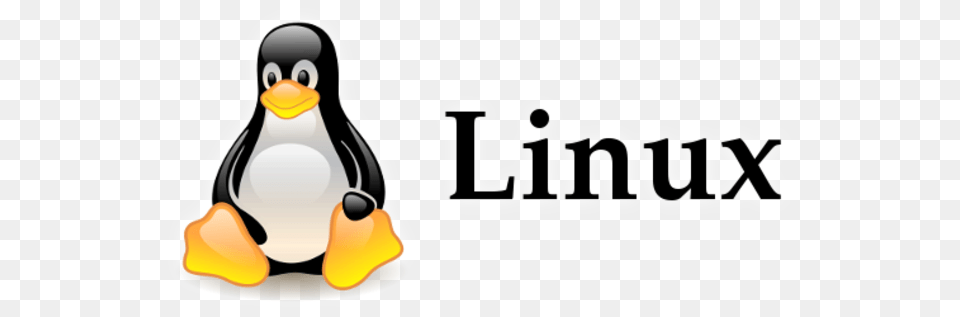 Linux Logo Linux Operating System Logo, Animal, Bird, Penguin Free Png Download