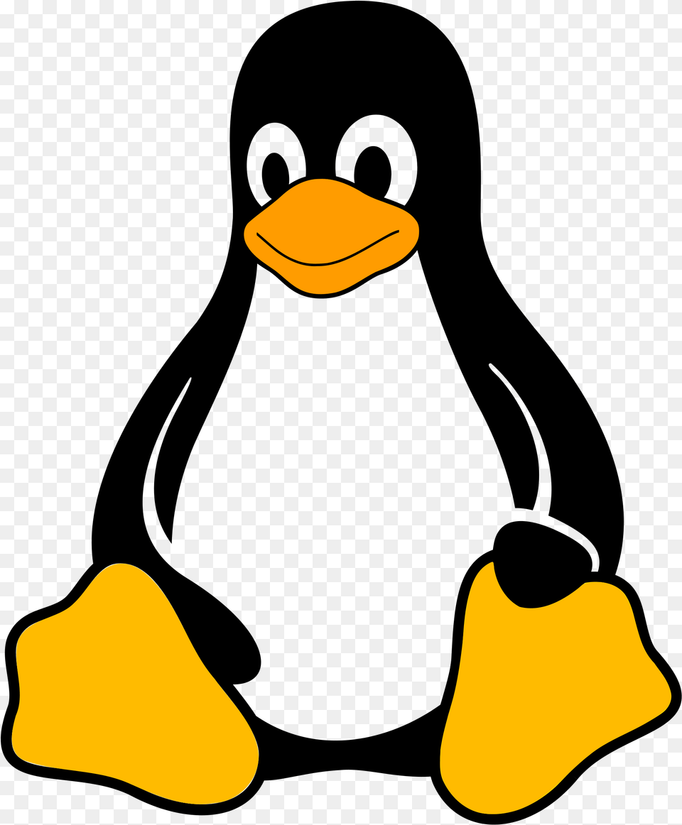 Linux Penguin Clipart Linux Ultimate Beginner39s Guide, Flower, Petal, Plant, Food Free Png