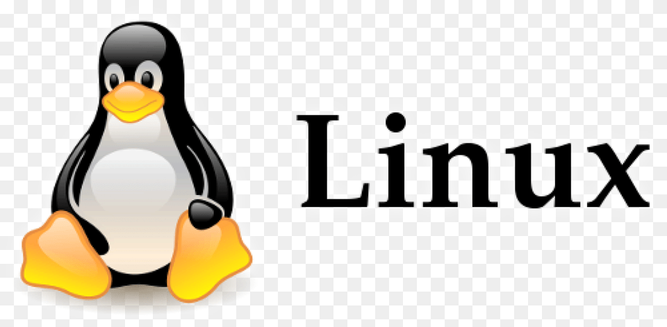 Linux Penguin Logo Linux Logo Background, Animal, Bird Free Transparent Png