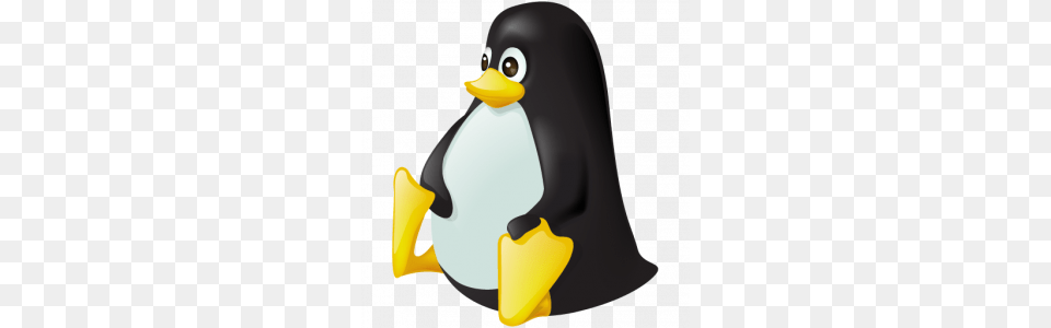 Linux Picture Web Icons, Animal, Beak, Bird, Penguin Png