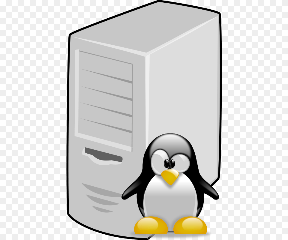 Linux Server, Animal, Bird, Penguin, Computer Free Png