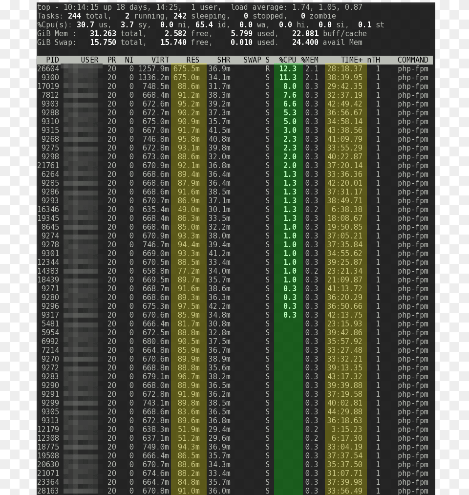 Linux Top Php Fpm Static Pm Portable Network Graphics Png