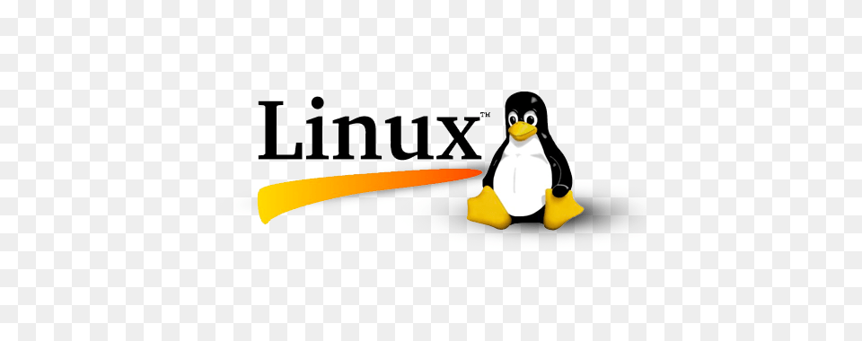 Linux Transparent Images Pictures Photos Arts, Animal, Bird, Penguin Free Png