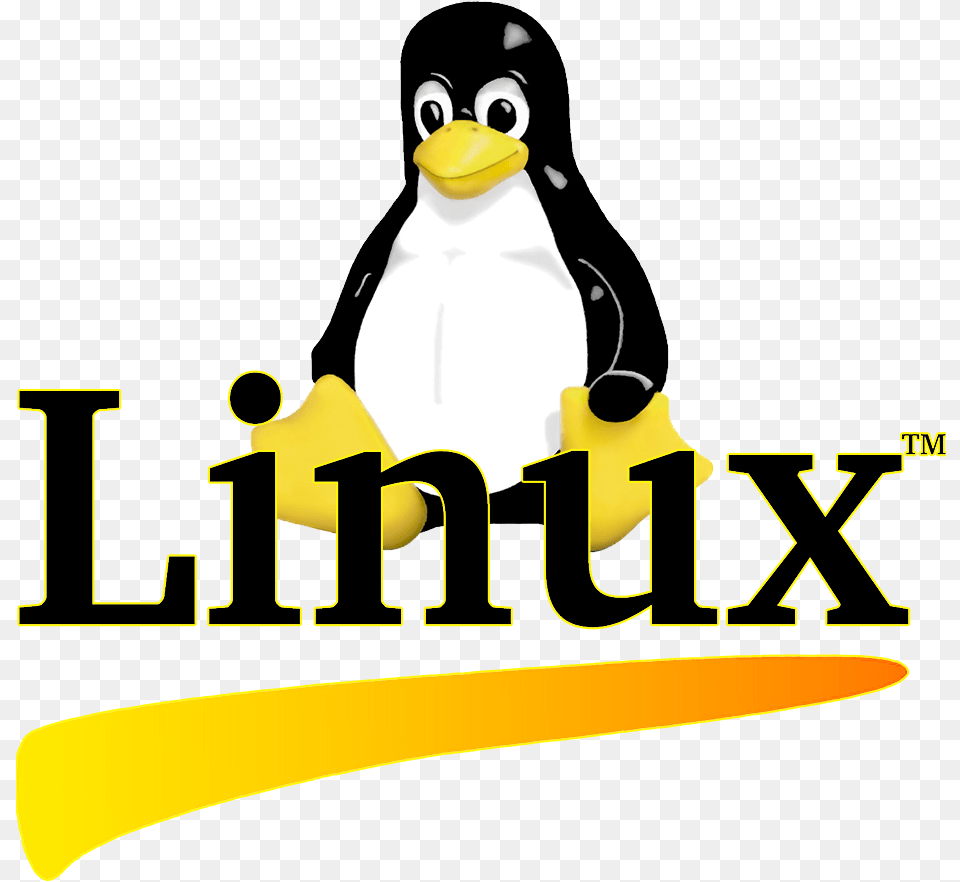 Linux With No Background Linux, Animal, Bird, Penguin Free Png Download