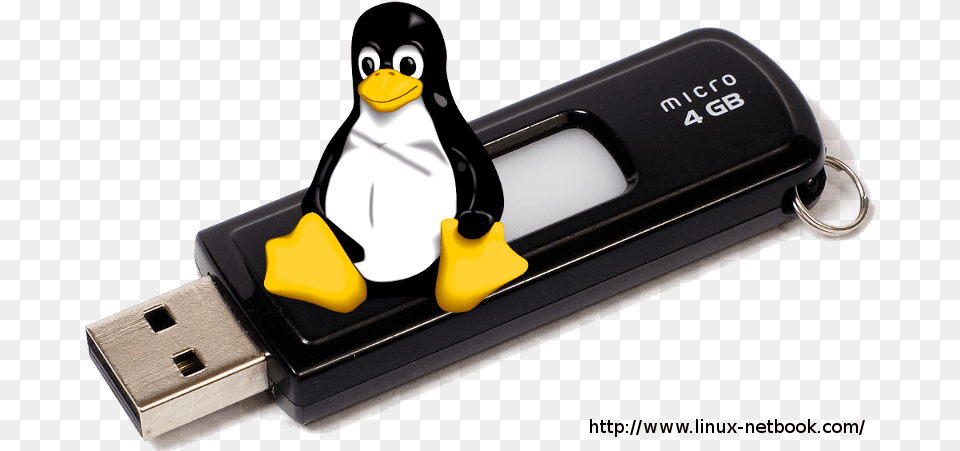 Linuxtux Usb Drive 2000 Usb, Animal, Bird, Penguin, Computer Hardware Png