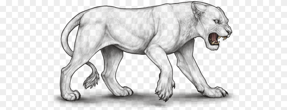 Lioden Evil Pose Lineart, Animal, Mammal, Panther, Wildlife Free Png Download
