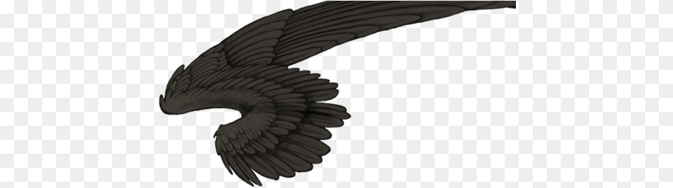 Lioden Wings Of Death Free Png Download