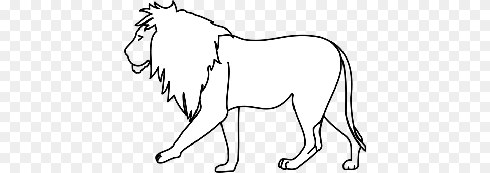 Lion Stencil, Adult, Person, Woman Free Png Download