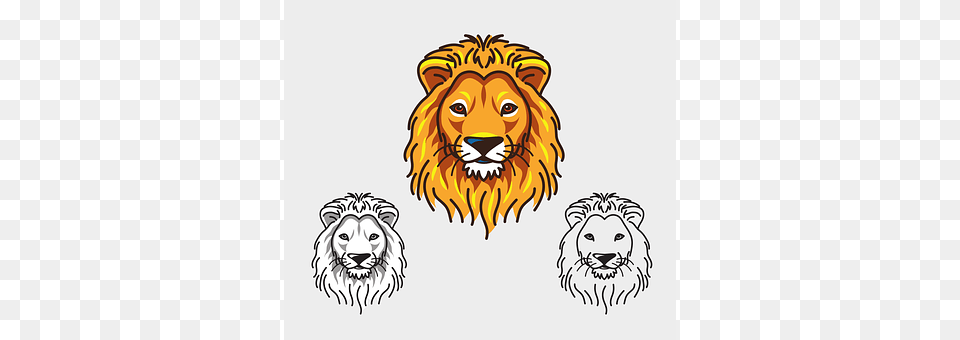 Lion Animal, Mammal, Wildlife, Art Free Transparent Png