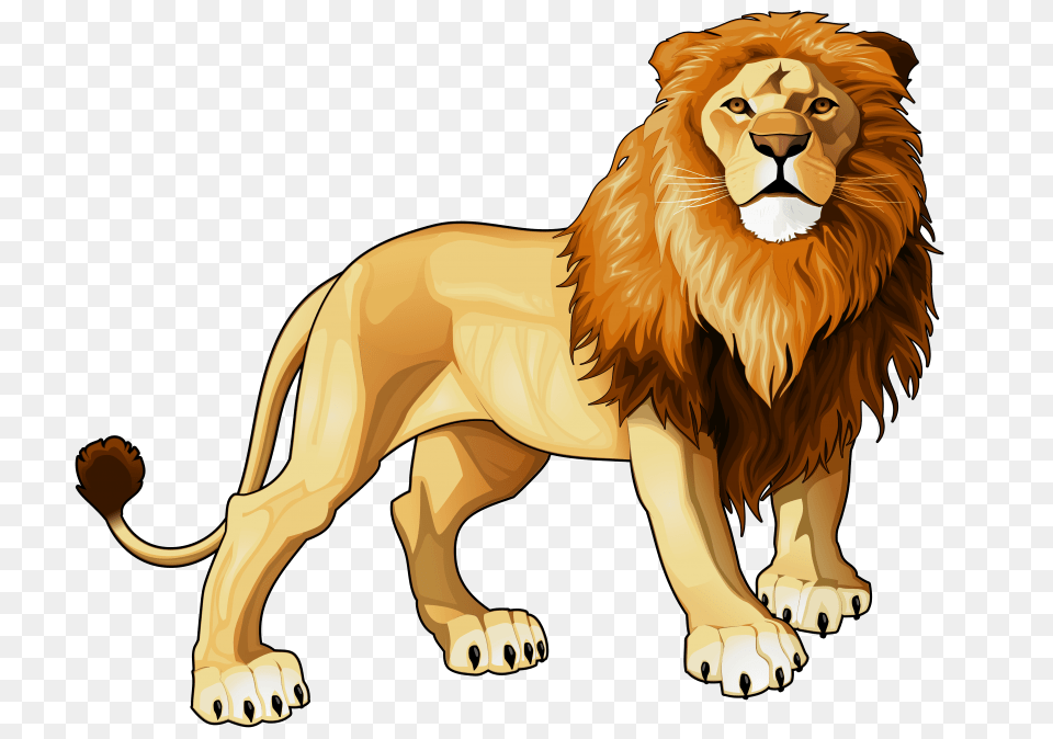Lion, Animal, Mammal, Wildlife Free Png