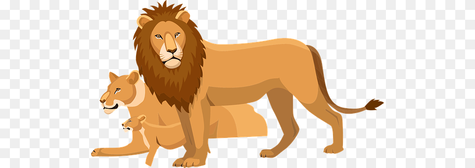 Lion Animal, Mammal, Wildlife, Bear Free Transparent Png