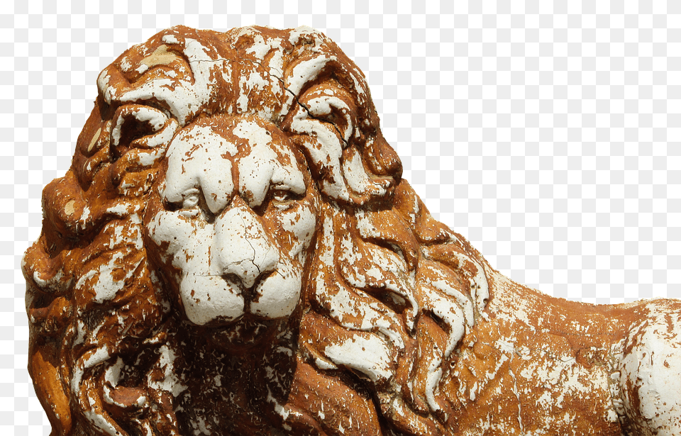 Lion Accessories, Archaeology, Ornament, Gemstone Free Transparent Png