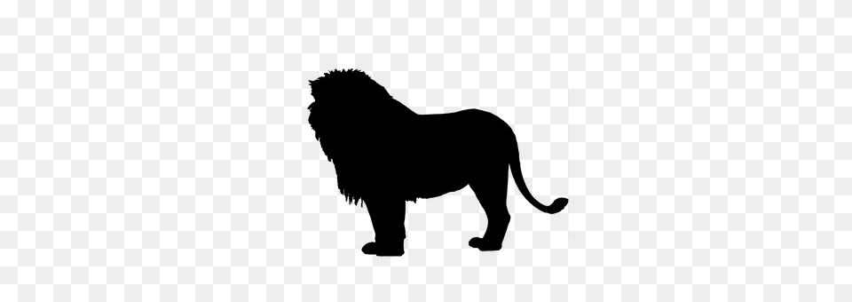 Lion Gray Png Image