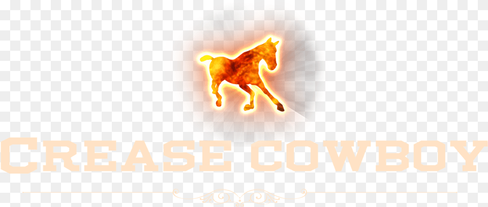 Lion Free Transparent Png