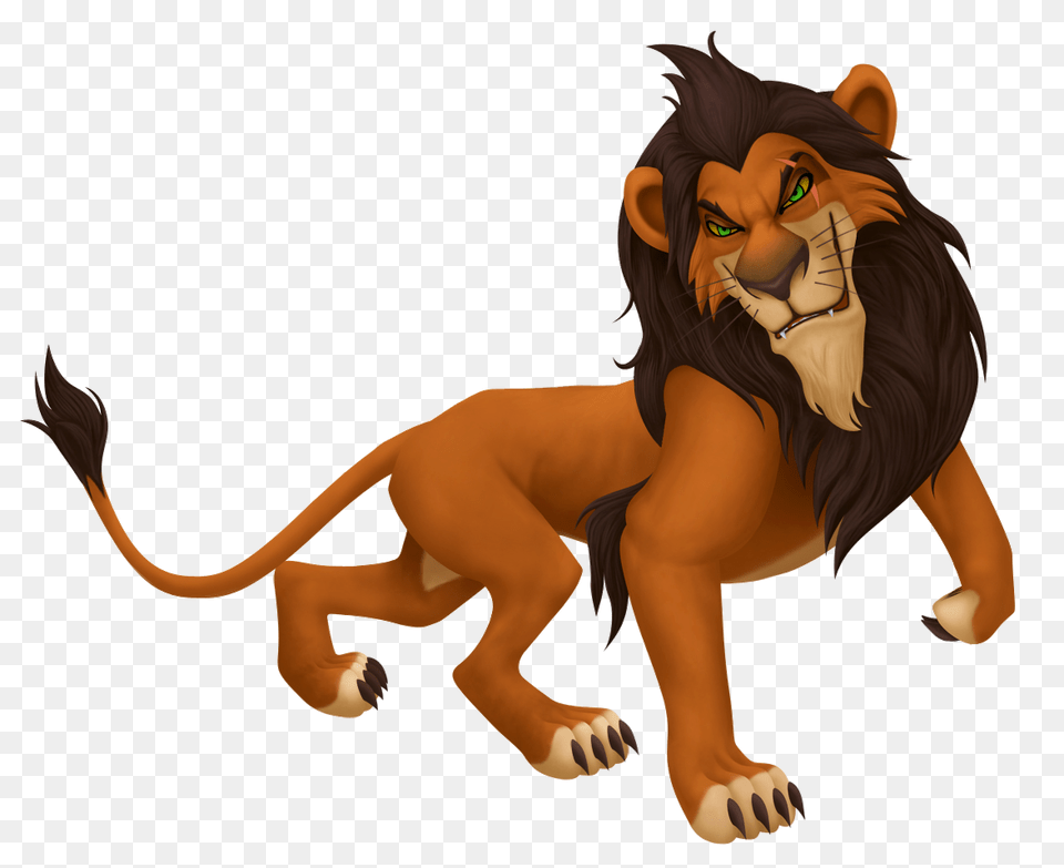 Lion, Animal, Baby, Mammal, Person Png