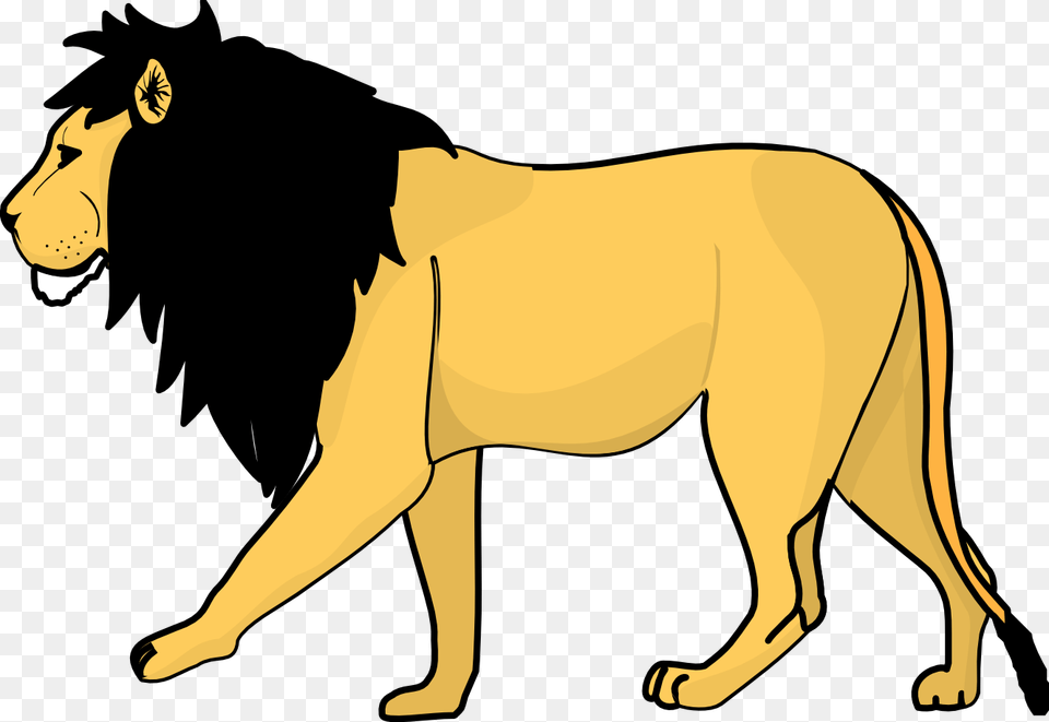 Lion, Animal, Mammal, Wildlife, Person Png Image