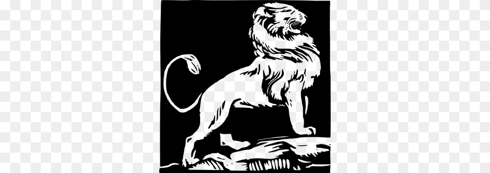 Lion Gray Free Png Download