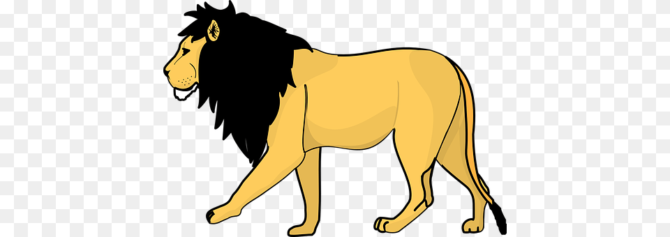 Lion Animal, Mammal, Wildlife, Person Png