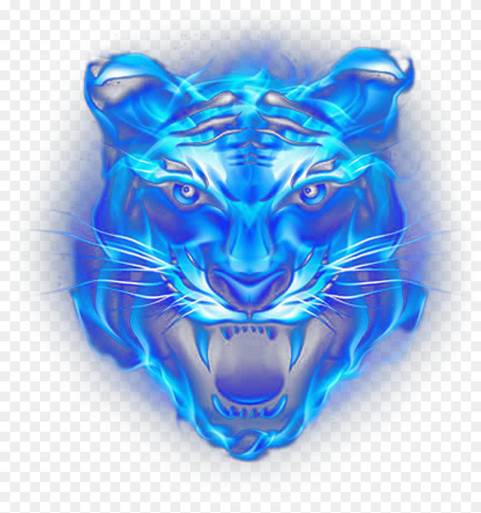 Lion Blue Fire Water Metallic Neon Light Blue Neon Tiger Head, Animal, Mammal, Panther, Wildlife Free Transparent Png