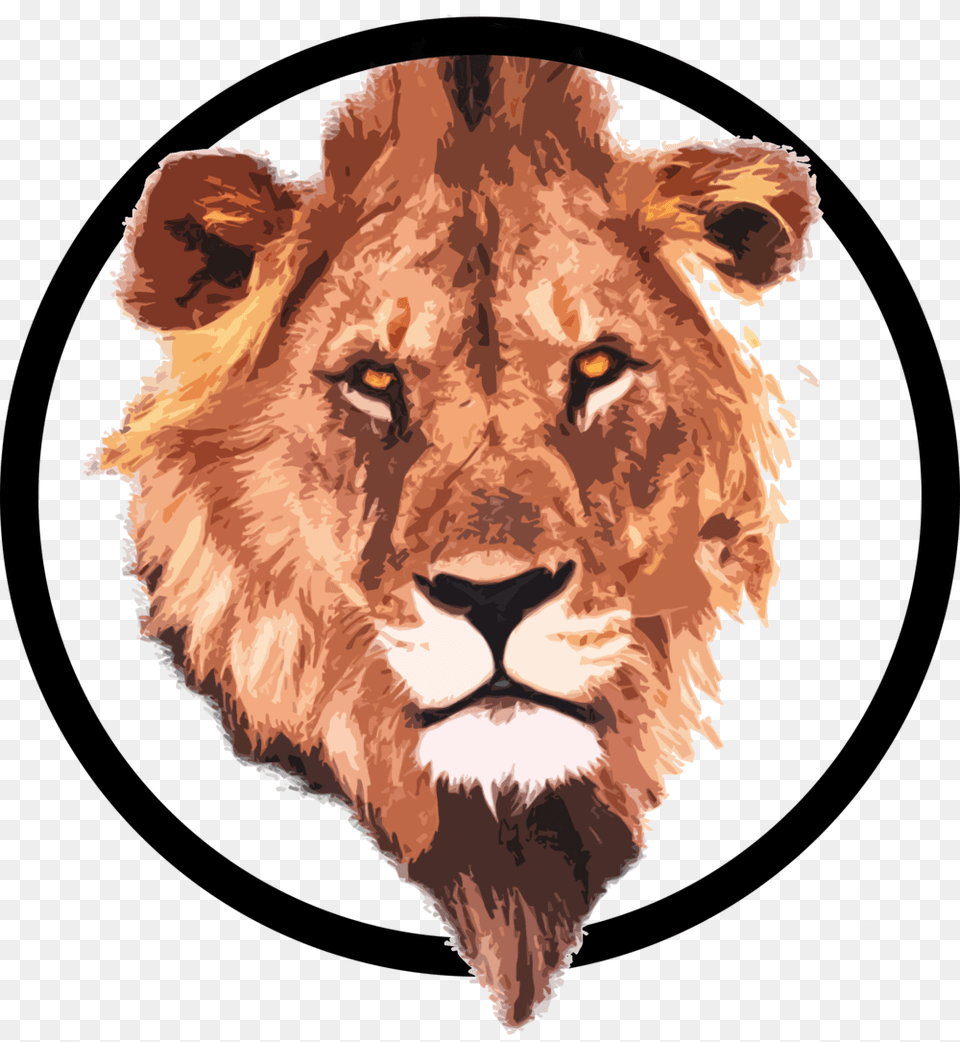 Lion Circle, Animal, Mammal, Wildlife, Person Png Image
