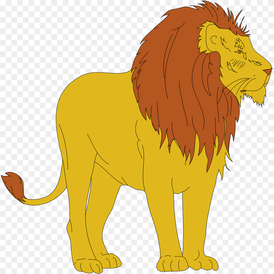 Lion Clipart, Animal, Mammal, Wildlife, Person Free Png