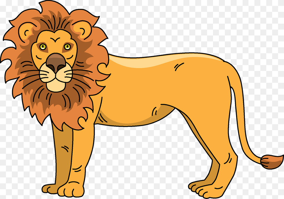 Lion Clipart, Animal, Mammal, Wildlife, Baby Free Png