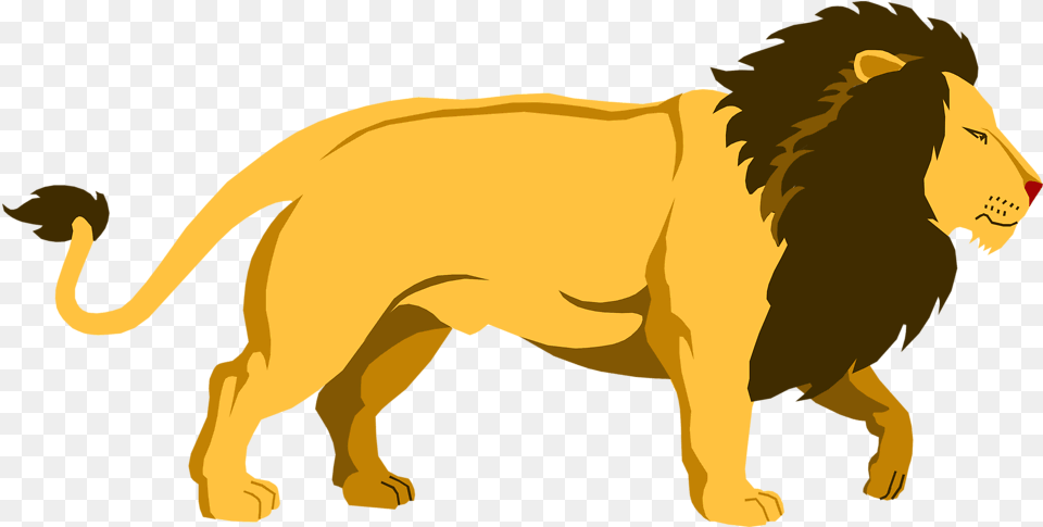 Lion Clipart 4 Lion Clipart, Animal, Mammal, Wildlife, Elephant Free Transparent Png