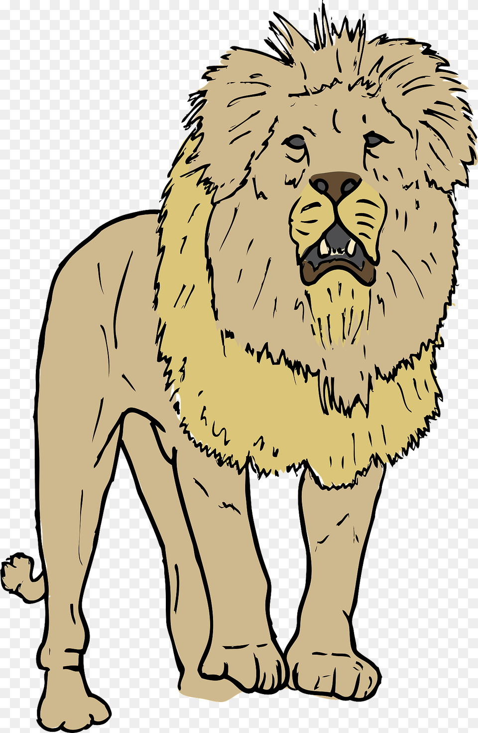 Lion Clipart, Animal, Mammal, Wildlife, Baby Free Png Download