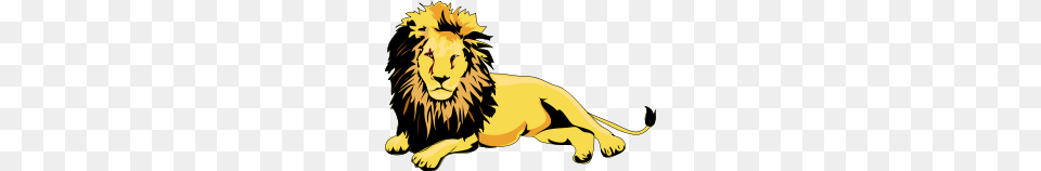 Lion Clipart, Animal, Wildlife, Mammal, Person Free Png
