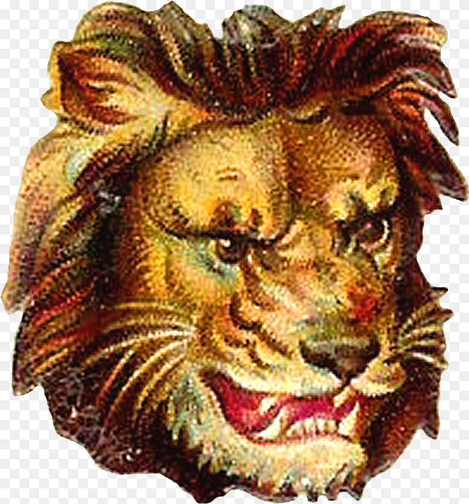 Lion Clipart Portrait Portrait, Animal, Wildlife, Mammal, Art Free Png Download